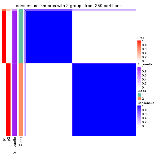 plot of chunk tab-SD-skmeans-consensus-heatmap-1