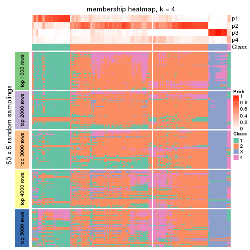 plot of chunk tab-SD-hclust-membership-heatmap-3