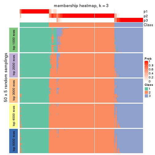 plot of chunk tab-ATC-NMF-membership-heatmap-2