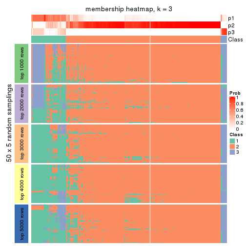 plot of chunk tab-CV-hclust-membership-heatmap-2