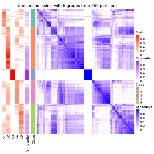 plot of chunk tab-SD-mclust-consensus-heatmap-4