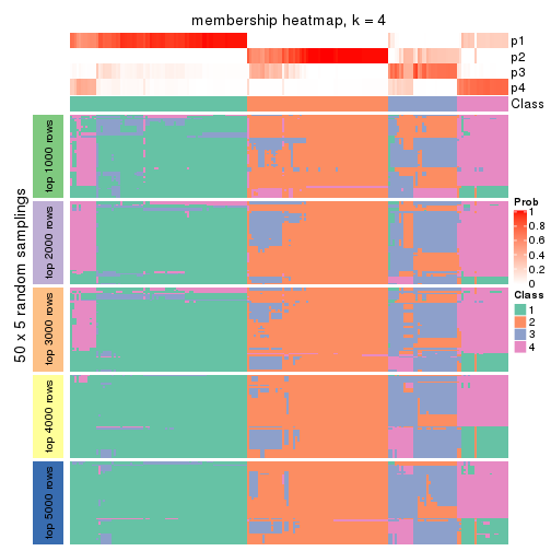 plot of chunk tab-MAD-kmeans-membership-heatmap-3