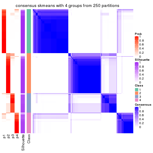 plot of chunk tab-SD-skmeans-consensus-heatmap-3