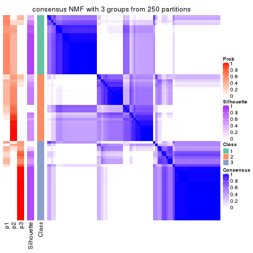 plot of chunk tab-CV-NMF-consensus-heatmap-2