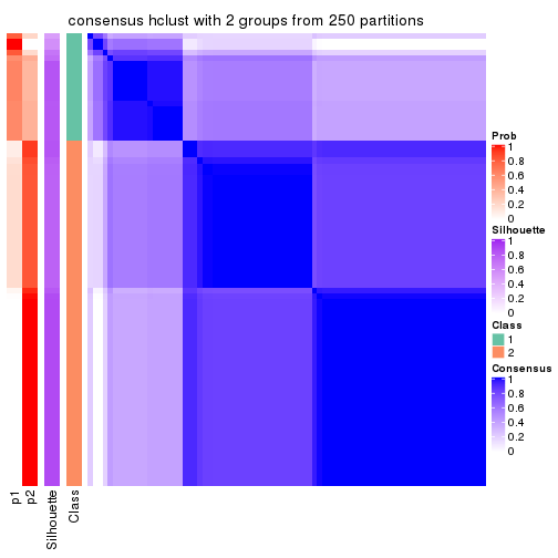 plot of chunk tab-CV-hclust-consensus-heatmap-1