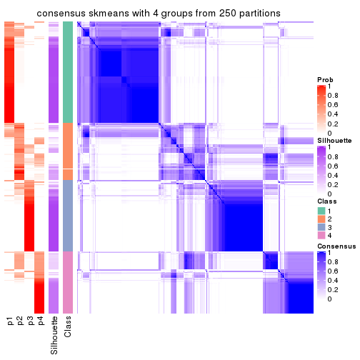plot of chunk tab-SD-skmeans-consensus-heatmap-3