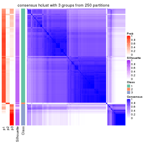 plot of chunk tab-CV-hclust-consensus-heatmap-2
