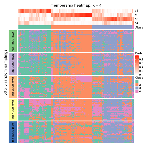 plot of chunk tab-MAD-hclust-membership-heatmap-3