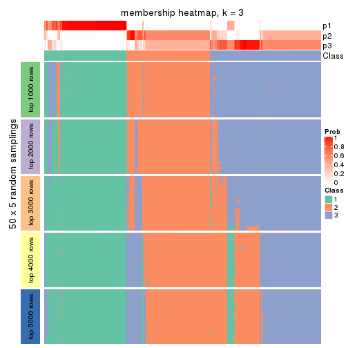 plot of chunk tab-SD-kmeans-membership-heatmap-2