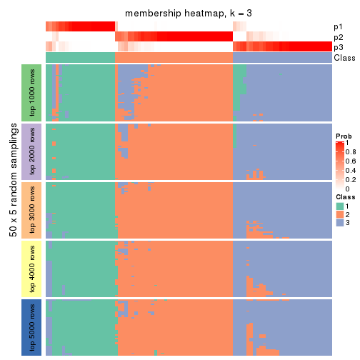 plot of chunk tab-SD-NMF-membership-heatmap-2