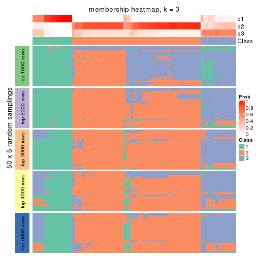plot of chunk tab-SD-hclust-membership-heatmap-2