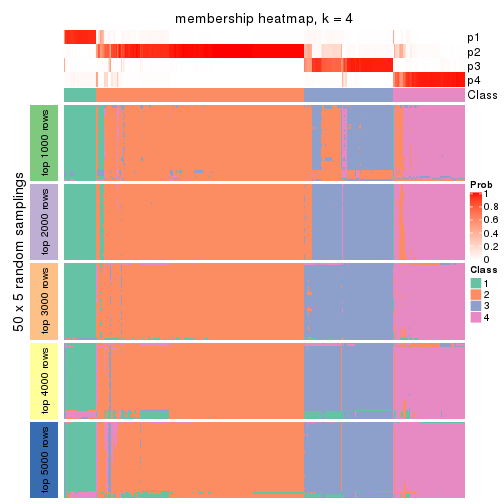 plot of chunk tab-CV-kmeans-membership-heatmap-3