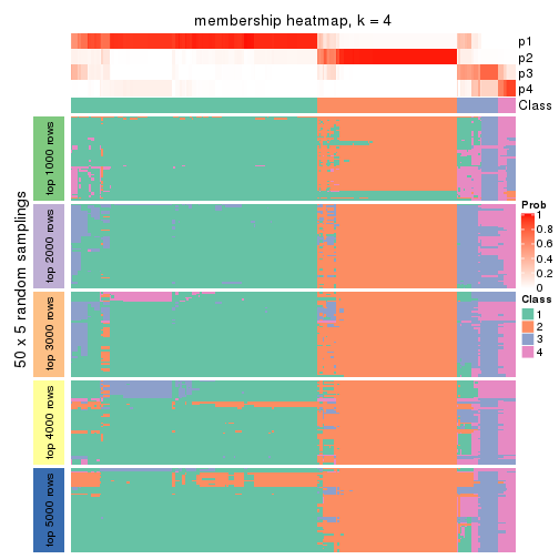 plot of chunk tab-CV-hclust-membership-heatmap-3