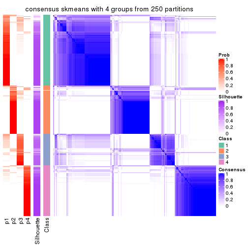 plot of chunk tab-CV-skmeans-consensus-heatmap-3