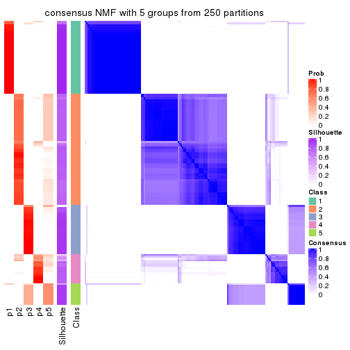 plot of chunk tab-SD-NMF-consensus-heatmap-4