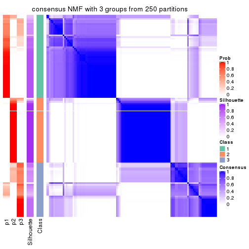 plot of chunk tab-MAD-NMF-consensus-heatmap-2